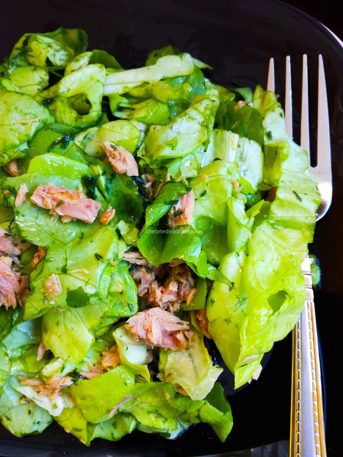 salata ton cu salata verde